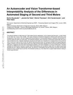 An Autoencoder and Vision Transformer-based Interpretability Analysis of the Differences in Automated Staging of Second and Third Molars
