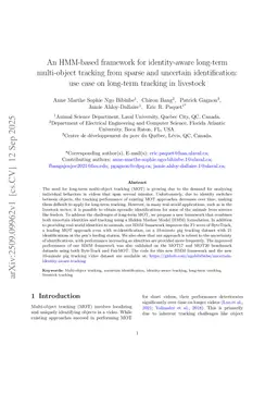 An HMM-based framework for identity-aware long-term multi-object tracking from sparse and uncertain identification: use case on long-term tracking in livestock