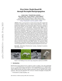 First Order Model-Based RL through Decoupled Backpropagation
