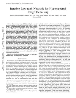 Iterative Low-rank Network for Hyperspectral Image Denoising