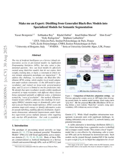 Make me an Expert: Distilling from Generalist Black-Box Models into Specialized Models for Semantic Segmentation