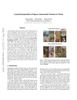 Causal Interpretation of Sparse Autoencoder Features in Vision