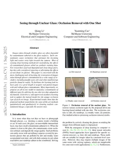 Seeing through Unclear Glass: Occlusion Removal with One Shot