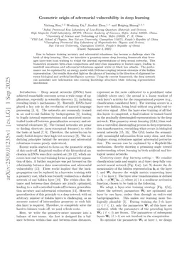 Geometric origin of adversarial vulnerability in deep learning