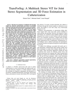 TransForSeg: A Multitask Stereo ViT for Joint Stereo Segmentation and 3D Force Estimation in Catheterization