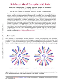 Reinforced Visual Perception with Tools