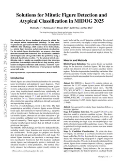 Solutions for Mitotic Figure Detection and Atypical Classification in MIDOG 2025