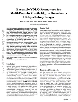 Ensemble YOLO Framework for Multi-Domain Mitotic Figure Detection in Histopathology Images