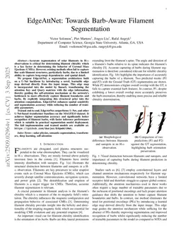 EdgeAttNet: Towards Barb-Aware Filament Segmentation