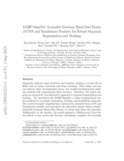 LGBP-OrgaNet: Learnable Gaussian Band Pass Fusion of CNN and Transformer Features for Robust Organoid Segmentation and Tracking
