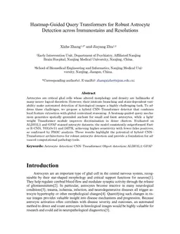 Heatmap Guided Query Transformers for Robust Astrocyte Detection across Immunostains and Resolutions