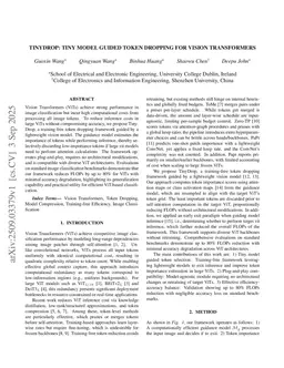 TinyDrop: Tiny Model Guided Token Dropping for Vision Transformers