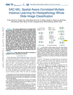 SAC-MIL: Spatial-Aware Correlated Multiple Instance Learning for Histopathology Whole Slide Image Classification