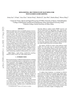 RFM-Editing: Rectified Flow Matching for Text-guided Audio Editing