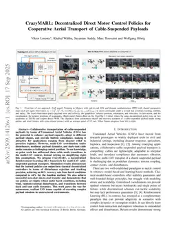 CrazyMARL: Decentralized Direct Motor Control Policies for Cooperative Aerial Transport of Cable-Suspended Payloads