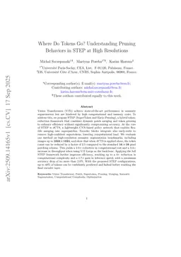 Where Do Tokens Go? Understanding Pruning Behaviors in STEP at High Resolutions