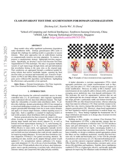 Class-Invariant Test-Time Augmentation for Domain Generalization
