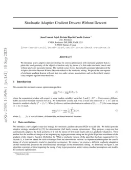Stochastic Adaptive Gradient Descent Without Descent