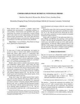 Undersampled Phase Retrieval with Image Priors