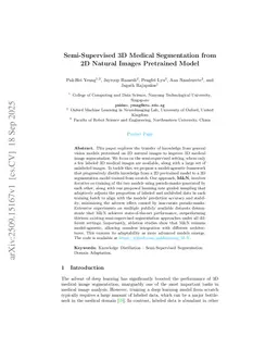 Semi-Supervised 3D Medical Segmentation from 2D Natural Images Pretrained Model