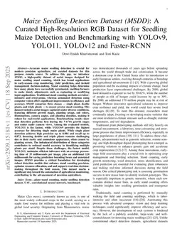Maize Seedling Detection Dataset (MSDD): A Curated High-Resolution RGB Dataset for Seedling Maize Detection and Benchmarking with YOLOv9, YOLO11, YOLOv12 and Faster-RCNN