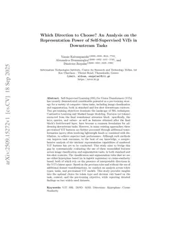 Which Direction to Choose? An Analysis on the Representation Power of Self-Supervised ViTs in Downstream Tasks