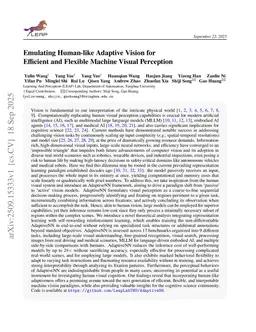 Emulating Human-like Adaptive Vision for Efficient and Flexible Machine Visual Perception