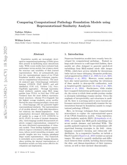 Comparing Computational Pathology Foundation Models using Representational Similarity Analysis