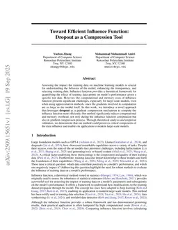 Toward Efficient Influence Function: Dropout as a Compression Tool