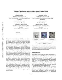 Saccadic Vision for Fine-Grained Visual Classification