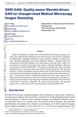 QWD-GAN: Quality-aware Wavelet-driven GAN for Unsupervised Medical Microscopy Images Denoising