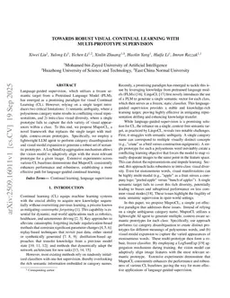 Towards Robust Visual Continual Learning with Multi-Prototype Supervision