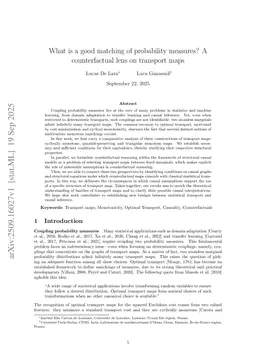 What is a good matching of probability measures? A counterfactual lens on transport maps