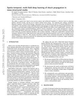 Spatio-temporal, multi-field deep learning of shock propagation in meso-structured media