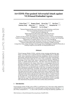 ADVEDM:Fine-grained Adversarial Attack against VLM-based Embodied Agents