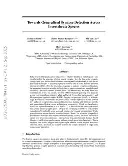 Towards Generalized Synapse Detection Across Invertebrate Species