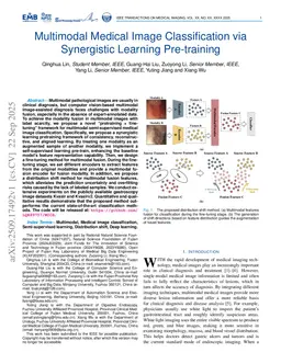 Multimodal Medical Image Classification via Synergistic Learning Pre-training