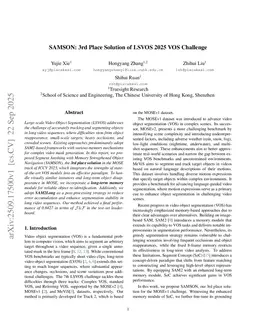 SAMSON: 3rd Place Solution of LSVOS 2025 VOS Challenge