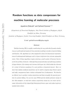 Random functions as data compressors for machine learning of molecular processes