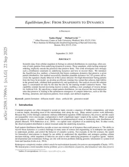 Equilibrium flow: From Snapshots to Dynamics