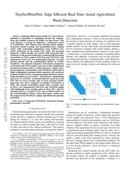 TinyEcoWeedNet: Edge Efficient Real-Time Aerial Agricultural Weed Detection