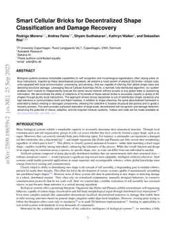 Smart Cellular Bricks for Decentralized Shape Classification and Damage Recovery