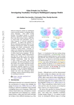 False Friends Are Not Foes: Investigating Vocabulary Overlap in Multilingual Language Models