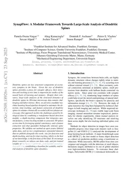SynapFlow: A Modular Framework Towards Large-Scale Analysis of Dendritic Spines