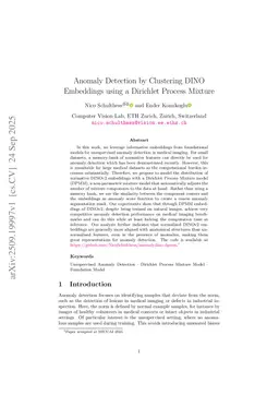 Anomaly Detection by Clustering DINO Embeddings using a Dirichlet Process Mixture