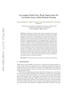 Leveraging Multi-View Weak Supervision for Occlusion-Aware Multi-Human Parsing