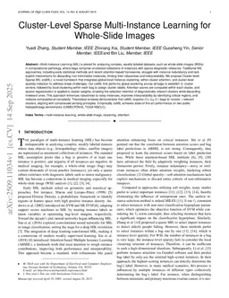 Cluster-Level Sparse Multi-Instance Learning for Whole-Slide Images
