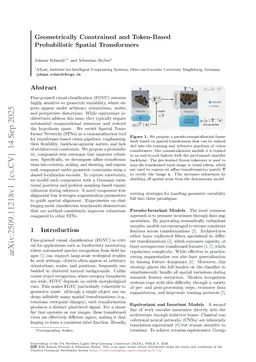 Geometrically Constrained and Token-Based Probabilistic Spatial Transformers