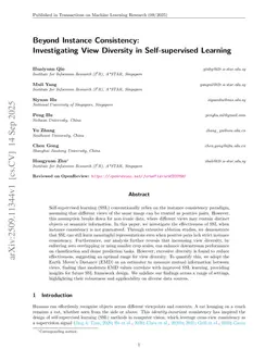 Beyond Instance Consistency: Investigating View Diversity in Self-supervised Learning