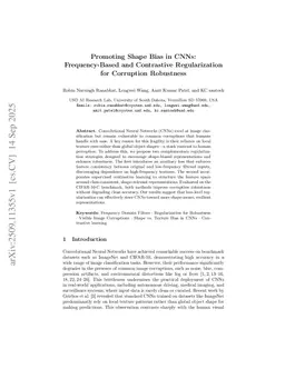 Promoting Shape Bias in CNNs: Frequency-Based and Contrastive Regularization for Corruption Robustness